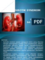 Nephrotik Syndrom2
