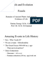 Fossils and Evolution Fossils