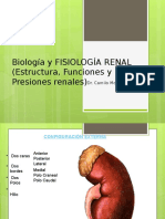 Clase Fisiologia Renal