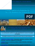 1. Característica Generales de Los Granos de Cereales