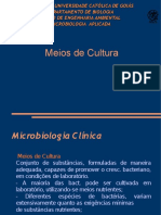Meios de Cultura aula prática.pdf