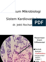Praktikum Mikrobiologi CVS