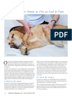 Acupressure Points End Pain Dogs