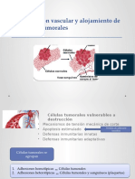 Diseminación Vascular y Alojamiento de Las Células Tumorales