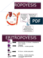 Eritropoyesis Hemato