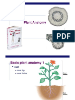 49Ch35PlantAnatomy2008