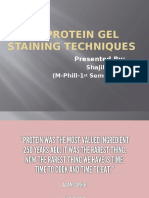 Title: Protein Gel Staining Techniques: Presented by