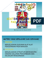 Pencernaan Manusia PDF