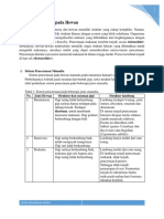 Sistem Pencernaan Pada Hewan PDF