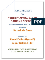 Grand Project ON: "Credit Appraisal in Banking Sector"