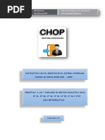 Instructivo Sistema CHOP 30-11-16