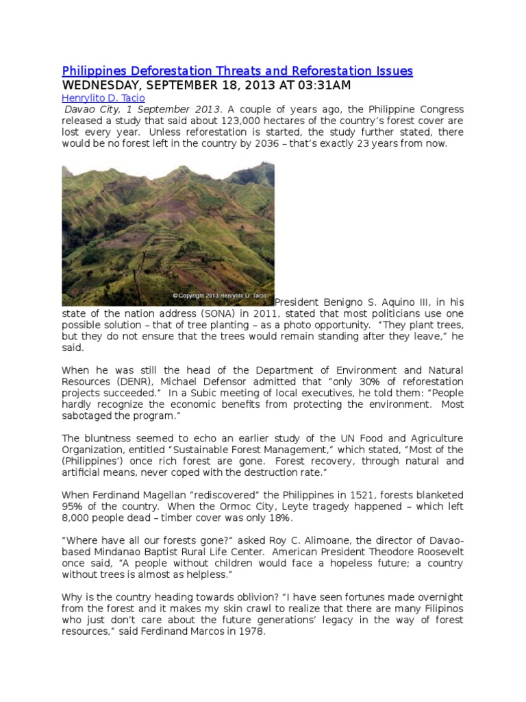 essay about deforestation in the philippines