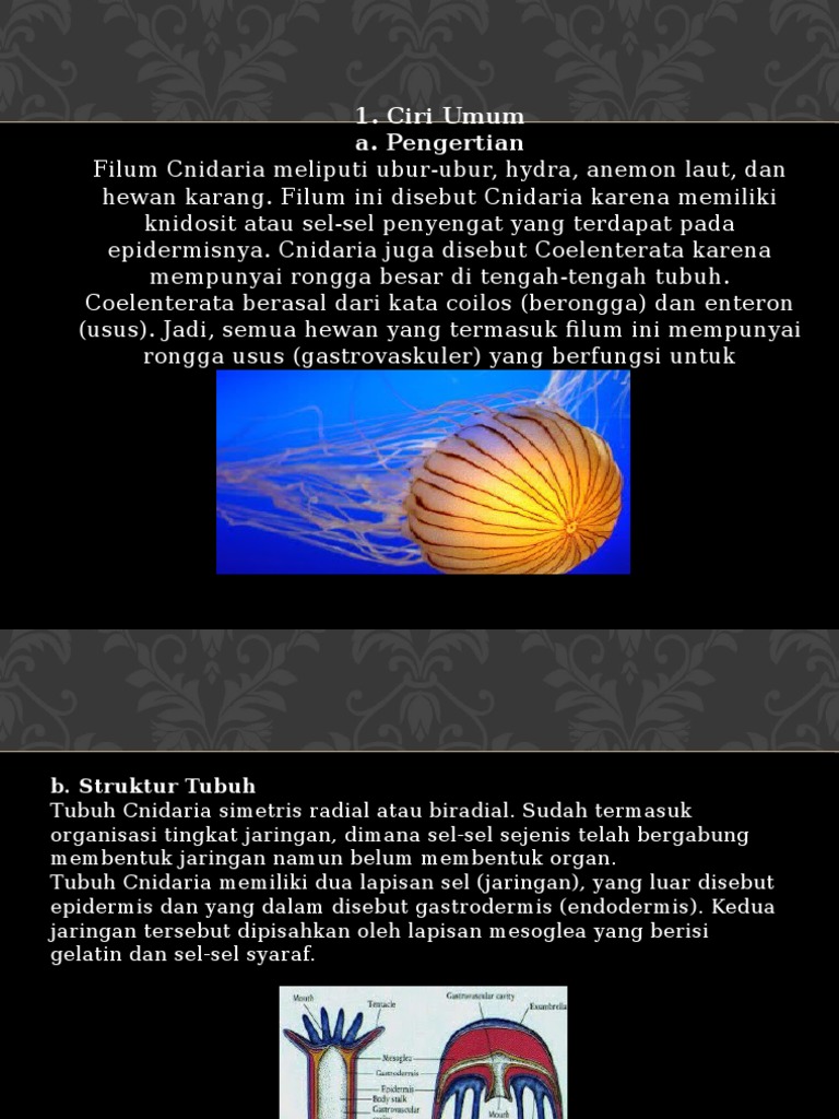 Putra Pattiasina Presentation Biologi