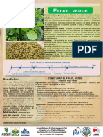 Frijol_Verde.pdf