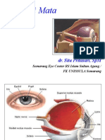 Anatomi Mata