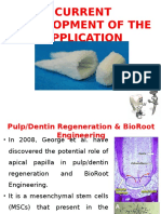 Current Development Dental Root