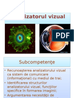 Analizator Vizual PPT