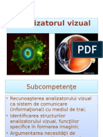 analizator_vizual_ppt