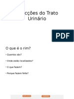 Infecções Do Trato Urinário-2