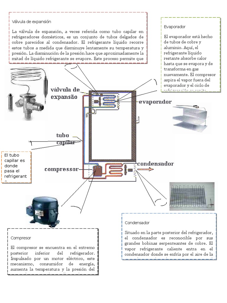Partes Del Refrigerador! | PDF | Tecnología, image size:768x1024