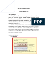 Trauma Tembus Kepala