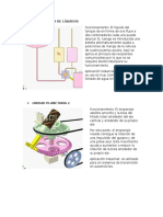 REsumen CIM