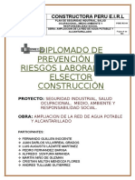 Proyecto de Diplomado