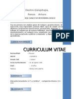 Curriculum Vitae (1) 22