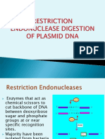 Restriction Endonuclease Digestion of Plasmid Dna