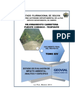 Documento Eeia3 (Pte. Coroico - Teoponte)