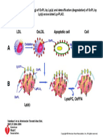 Arterioscler Thromb Vasc Biol 2007 Oct 27 (10) 2094-9