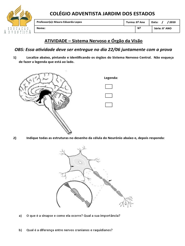 Atividades Sobre Sistema Nervoso - Ensino Fundamental  Sistema nervoso,  Atividades de ciência, Atividades sobre