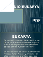 Dominio Eukarya