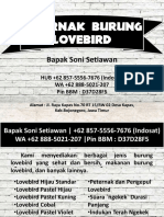 WA +62 888-5021-207 - Peternak Burung Love Bird Juara, Peternak Lovebird Kota Malang PDF