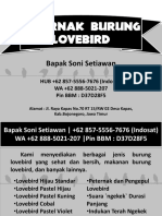 WA +62 888-5021-207 - Peternak Burung Lovebird Murah, Peternak Lovebird Lamongan PDF