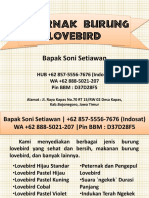 WA +62 888-5021-207 - Peternak Lovebird Banyuwangi, Peternak Lovebird 2016 PDF