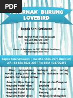 Download WA 62 888-5021-207 - Peternak Burung Lovebird Jombang Peternak Lovebird Juara by Peternak Burung Lovebird SN333239350 doc pdf