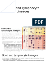 Blood and Lymphocyte Lineages