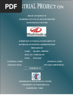 Download A Project Report On Brand Awarness by Pramit Chettri SN33324701 doc pdf