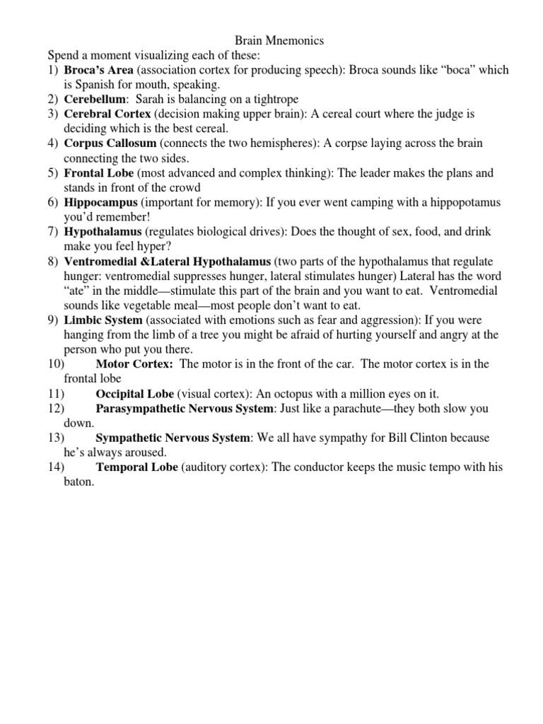 Mnemonic visual data 2