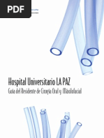 Download Hospital Universitario La Paz Gua del Residente de Ciruga Oral y Maxilofacial by Mara Luisa Maquedano SN33325296 doc pdf