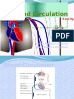 Blood Circulation