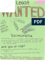 Least Wanted Posters-2nd Period 12