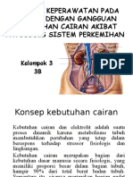 Fix 3b Sistem Perkemihan