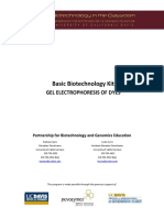 BB Gelelectrophoresisdyes 09