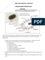 2016_prokaryotes_station.pdf