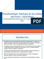 Neurofisiología Clase 1