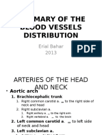 IT 27 - Summary of the Blood Vessels Distribution - ERB