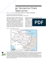 Hamburger Connection Fuels Amazon Destruction1.pdf