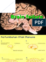 brain failure.ppt